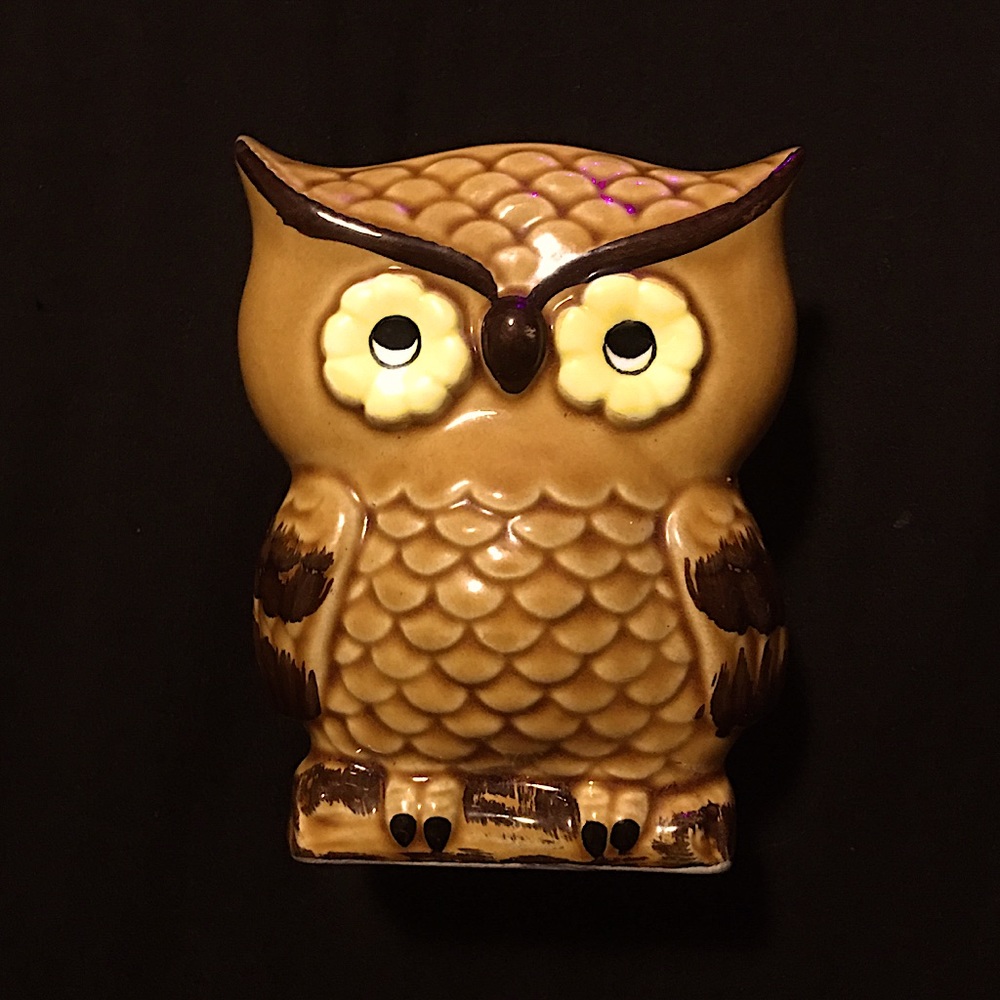 6/$20! Owl Napkin Holder